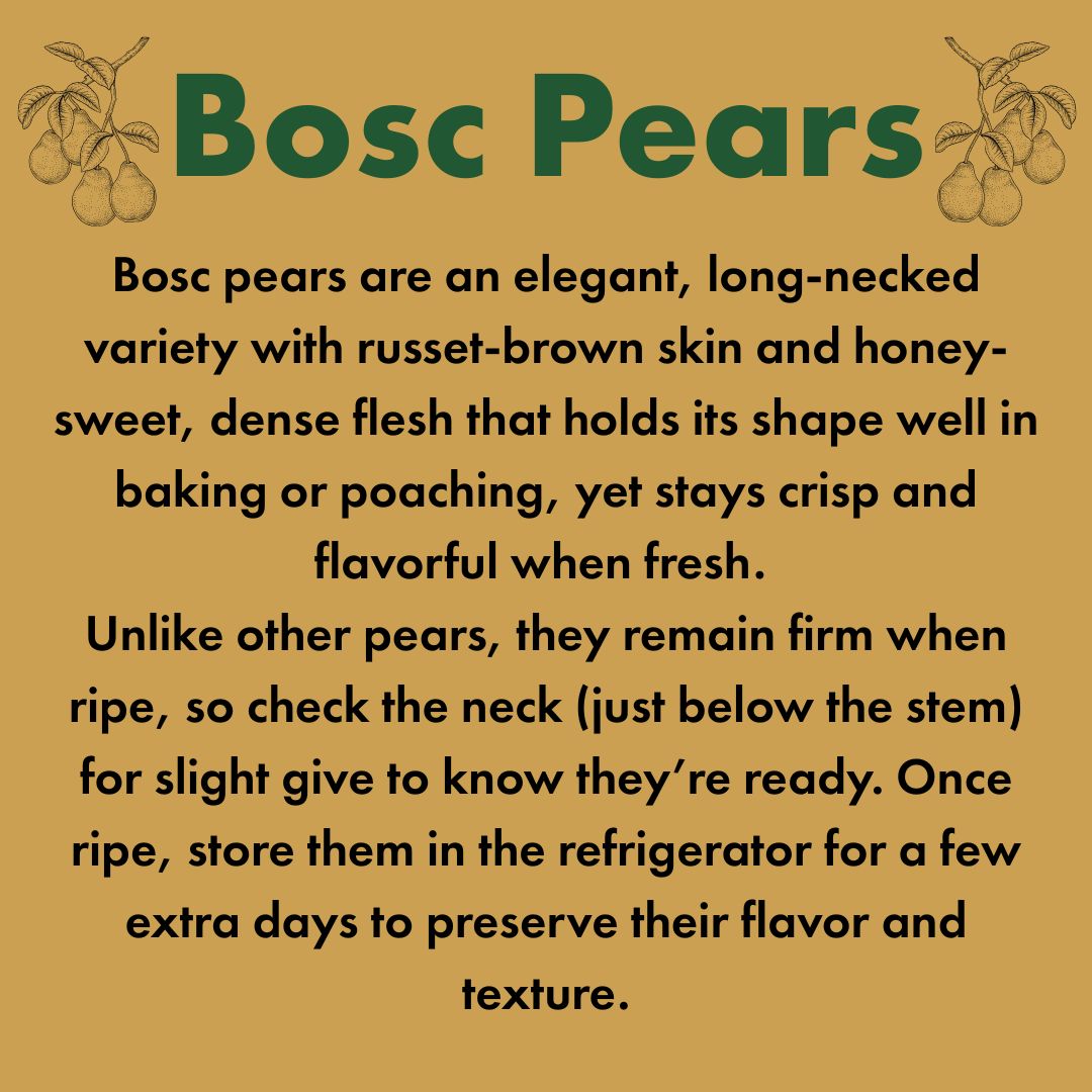 Bosc Pears Gift Box