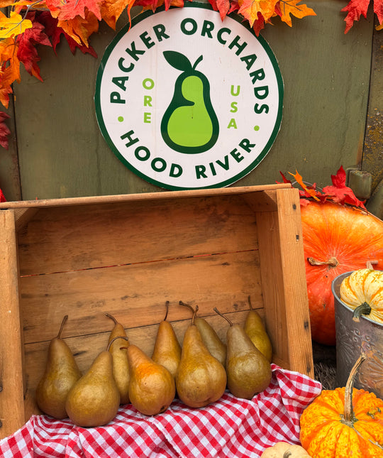 Bosc Pears Gift Box