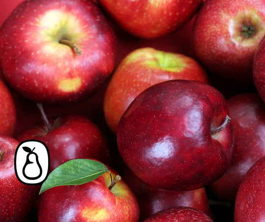 Orchard Sampler Gift Box